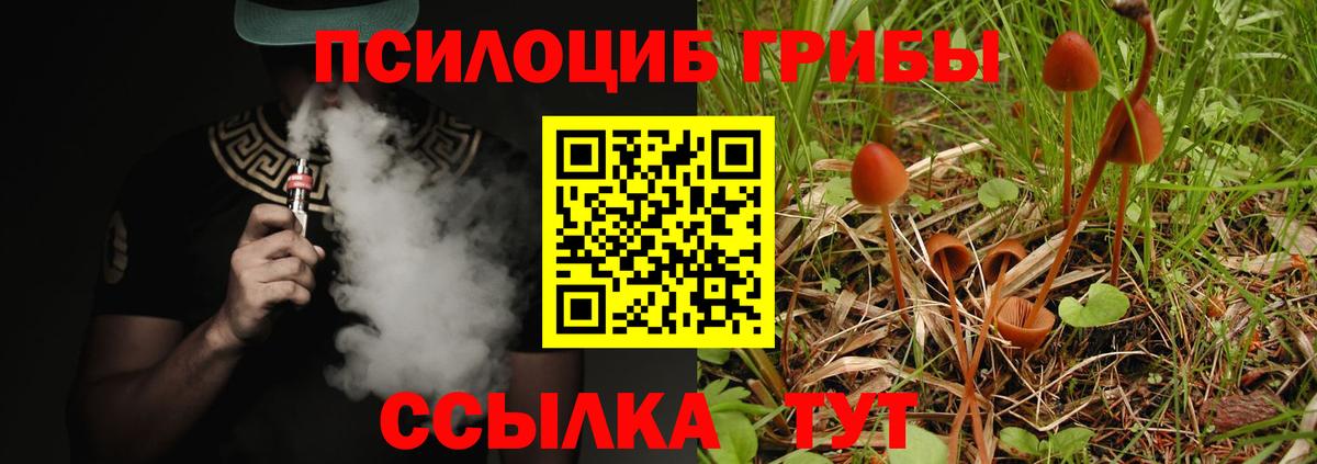 Ишим  Псилоцибиновые грибы мицелий  Вход с VPN 