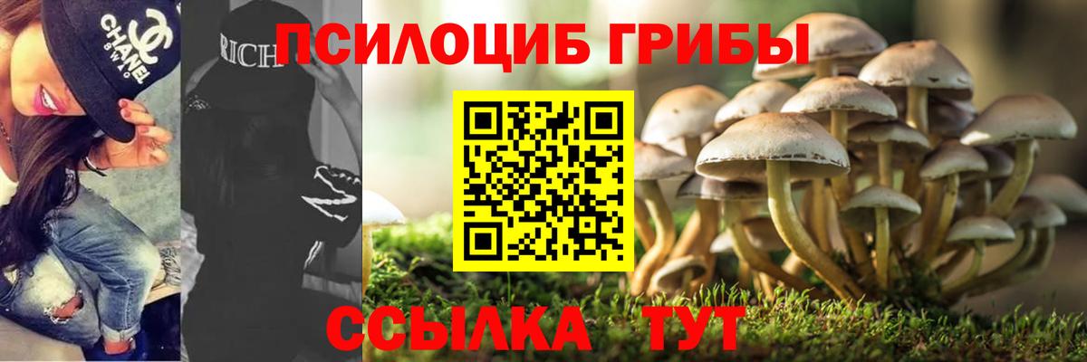 Псилоцибиновые грибы GOLDEN TEACHER Ишим